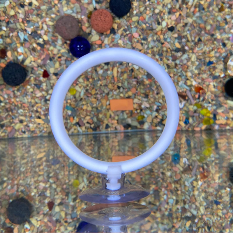 Gymnastic Ring - 1 unidade de Anel de Treinamento