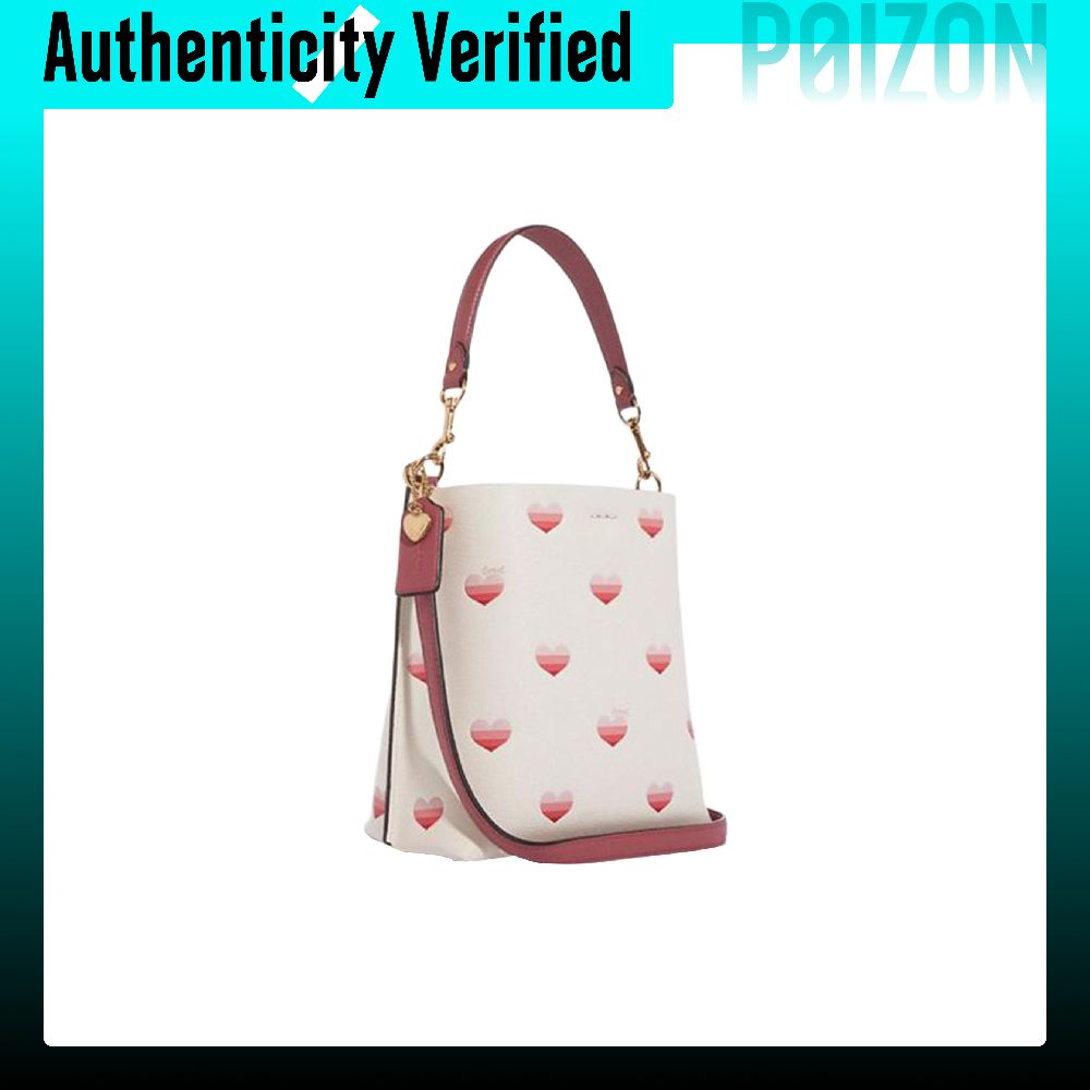 Bolsa Bucket COACH Mollie em C - Chalk Bag avaliação e preço